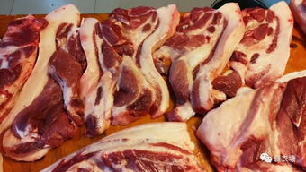 如何选择和分辨好猪肉,不同部位的猪肉怎么做最好吃 