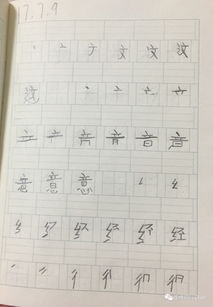 布甲造句,甲字可以组什么词？