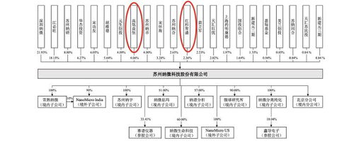 股票技术部部门结构组成有哪些