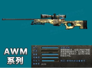 AWM A 是什么