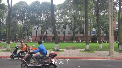 成都职高能考哪些大学