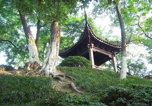 揭秘江阴中山公园,江阴中山公园景点介绍：那些你不知道的美丽角落与历史故事