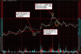 如果我有很多钱，买一只股票时一次性最多可以买入多少股票？