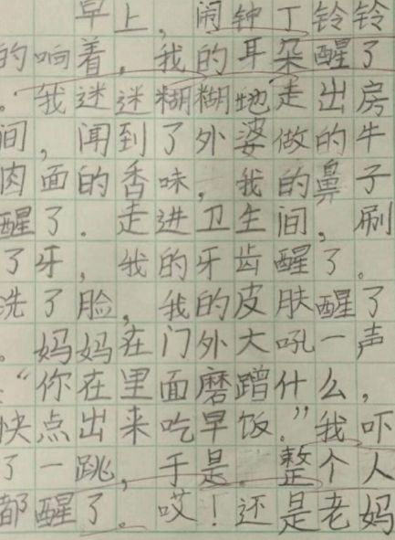 羊妈妈作文600字