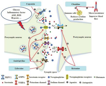 diabetic ketoacidosis treatment guidelines ada,Understanding Diabetic Ketoacidosis (DKA)