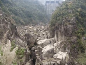 厦门同安野山谷(野山谷景区属于哪个县市)