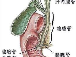 胆管癌能自愈吗 胆管癌的治愈率高吗 胆管癌能根治吗 胆管癌能治好吗 