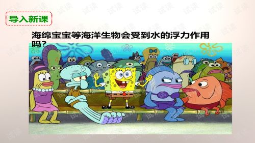 水会受到水的浮力吗