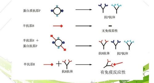 什么是庞加莱效应?