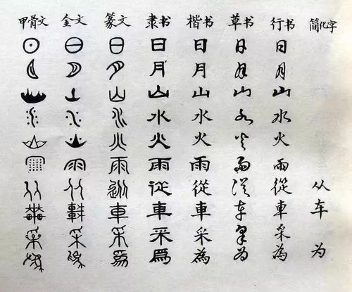 专家建议小学加入繁体中文，说出反对增设繁体字教育的三个理由(小学学繁体字吗)