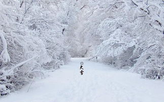 大雪 守护体内阳气,进补好时节 