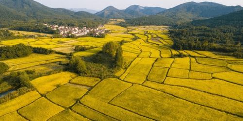 建房俗语 房子不建鸭嘴田 ,鸭嘴田是啥地形 为何不能建房