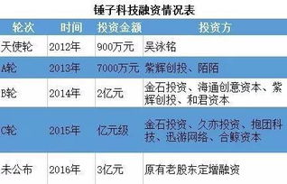 融资股票30万亏了要赔多少钱