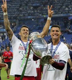 欧洲杯颁奖,欧洲杯颁奖典礼：意大利队加冕冠军