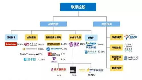 lenovo联想集团和联想控股是一家公司吗？还是母子公司的关系？