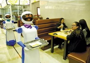 中国的机器人行业或将在以下七个领域大展拳脚