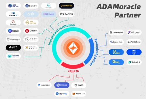 ADAMoracle提供区块链数据解决方案