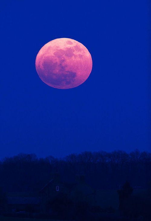 本周将会出现粉色满月,占星学家解释如何使用这个现象的精神力