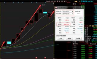 杨百万最新大盘分析