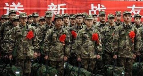 参军时是服从分配,还是自愿选择兵种 老兵 我来告诉你