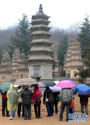 少林寺旅游投诉,1. 商业化过重：许多游客反映，少林