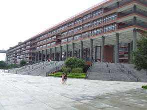 广州市美术大学有哪些