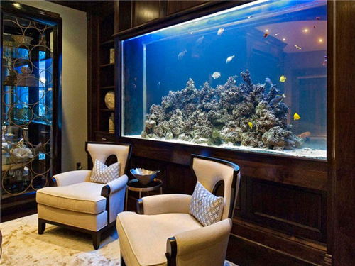 鱼缸放在客厅什么位置 鱼缸高度多少合适风水 