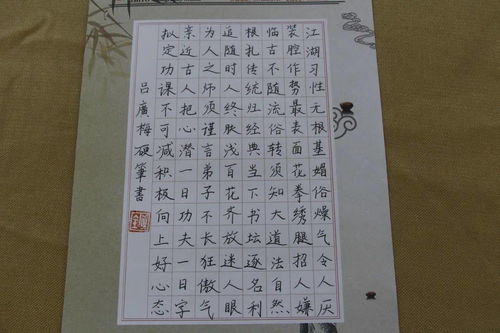 450幅毛笔字钢笔字粉笔字大亮相,好漂亮哦 中文系的这些小哥哥小姐姐厉害了啵