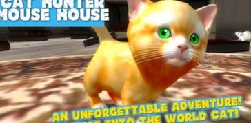 猫抓老鼠模拟器游戏安卓版下载