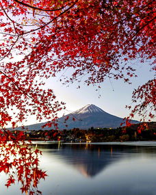 富士山和红叶的搭配美醉了 信息阅读欣赏 信息村 K0w0m Com