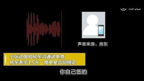 去中国电网去交电费 他们给电费单子吗