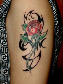 纹名天下纹身贴 玫瑰 假纹身 仿真 玫瑰花 堆糖,美图壁纸兴趣社区 