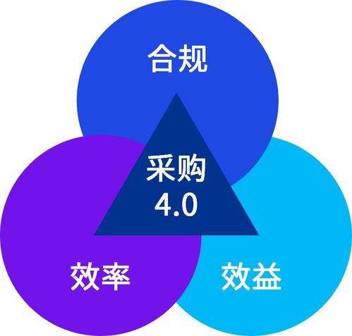 运动品牌通过数字化转型实现线上销售翻倍增长