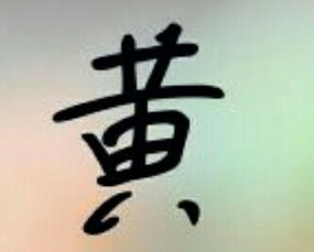 谁能帮我写一个字 黄 字 一直写不好这个 写的好看 加悬赏啊 