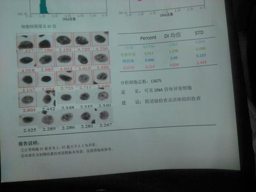 这个检查单是什么意思 