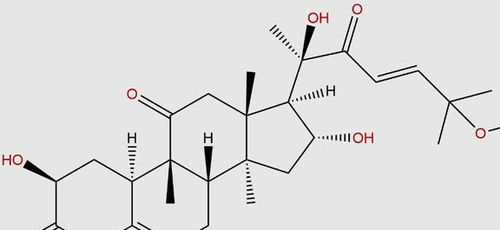 麒麟西瓜B级  第2张