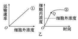 每空1分,共10分 图甲是物质A通过细胞膜的示意图 请回答以下问题 1 物质A跨膜运输的方式是 ,判断理由是 其运输方式也可用图乙中的曲线 