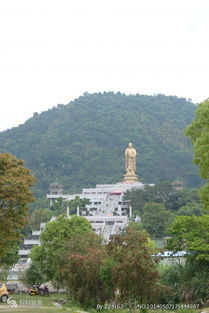 漳州三平寺,平和三平寺在哪？-第4张图片