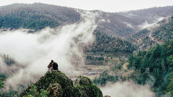 次北固山下是一首描写春天景色和表达思乡之情的七言律诗。，次北固山下是一首什么诗体裁