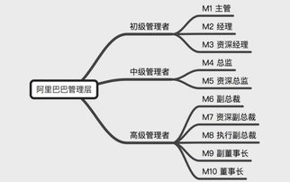 中层管理者的含义指的是什么