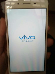 vivo v3ma 恢复出厂设置为什么会像卡在vivo界面一样不动呢 请速回,急急急 