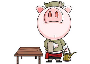 属猪的吉祥数字是什么