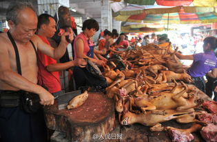 玉林狗肉节被指吃万条狗 舆论呼吁抵制 