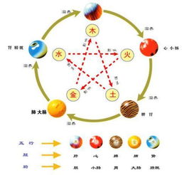 天干地文的基础知识