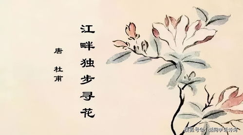 在成都浣花溪畔,杜甫写下美丽的诗篇,动人的诗歌被人们传唱至今