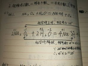 转移电子数是怎么转移的？？高一化学没听过课，希望大神们帮帮忙，可以的话举个例子给我看，十分感谢