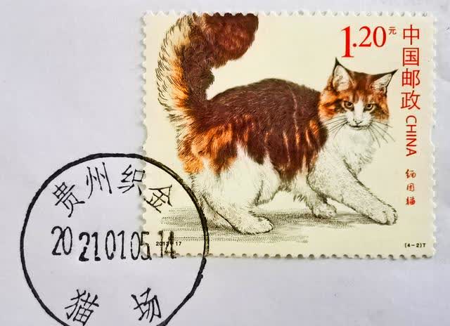 有趣 贵州毕节织金县一个镇,名字中带 猫 字