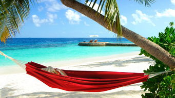 马尔代夫导游费用一览，省心省钱的旅游攻略！