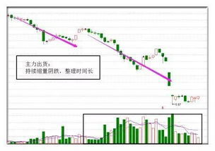 下载股票交易软件，保存在那个盘好，保存和按装要存两个位置吗？