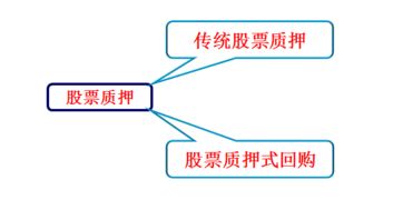 中登公司是干嘛的？具体